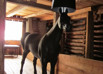 Leuchte „Horse Lamp“, Korpus lebensgroßes Pferd